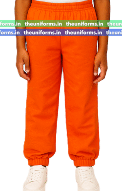 Lower , Birla Open Minds