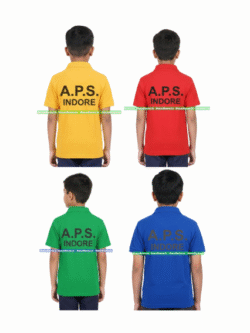 T-shirt ( House ) , Agarwal Public School