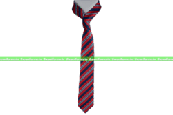 Tie - Choithram School ( Nipania )