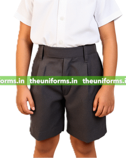 Half Pants  Choithram School ( Nipania )