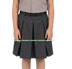 Skirt - Choithram School ( Manikbagh )