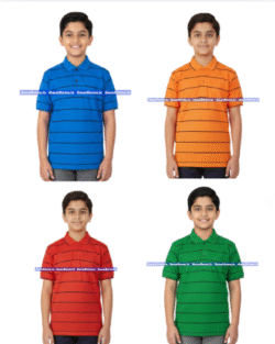 House T-shirt -  Choithram School  ( Manikbagh )