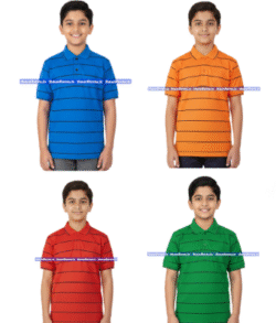 House T-shirt -  Choithram School  ( Manikbagh )