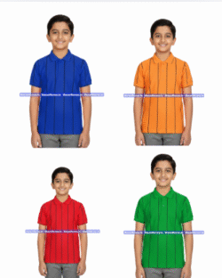 House T shirt - Choithram School ( Nipania )