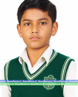 Half Sweater , Common ( B/G ) Delhi Public School - Winter Uniforms