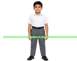 GREY TROUSER / PANTS - UDAAN