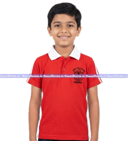 House T-shirt ( DPS ) - Indore