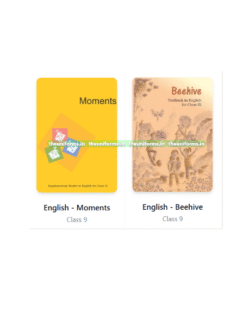 ENGLISH ( Beehive & Moment ) Combo Set