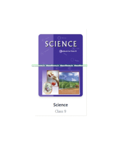Science ( English Medium )