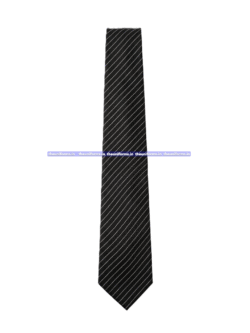 Tie - Sanmati H.S. School