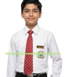 Shirt - Vidhya Sagar School