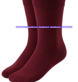 Socks - St. Arnold's