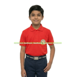 House T shirt - Vidhya Sagar School