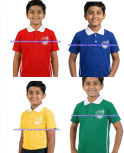 House T-shirt  - St. Arnold's