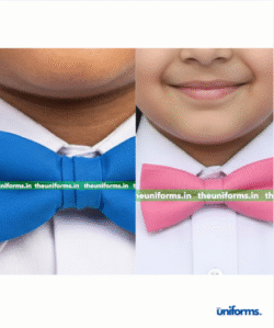 Bow ( Nursery / K.G ) - St. Paul